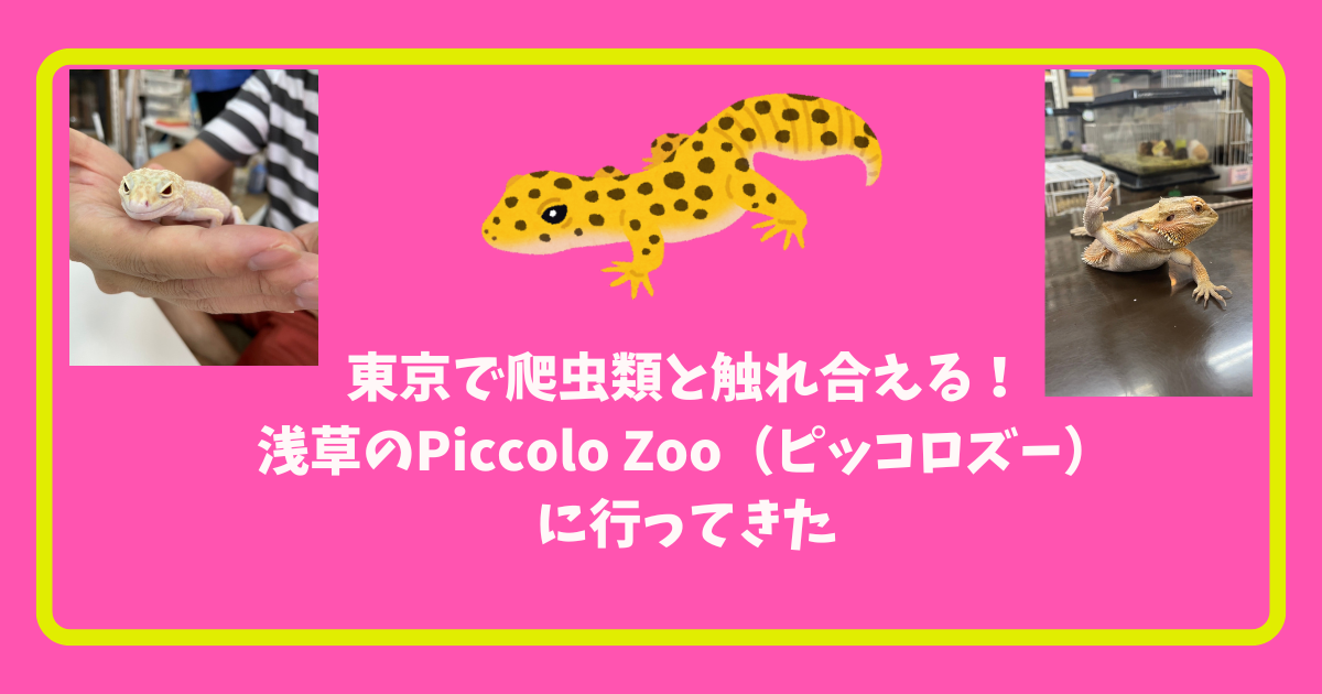 浅草にあるPiccolo Zooに行ってみた